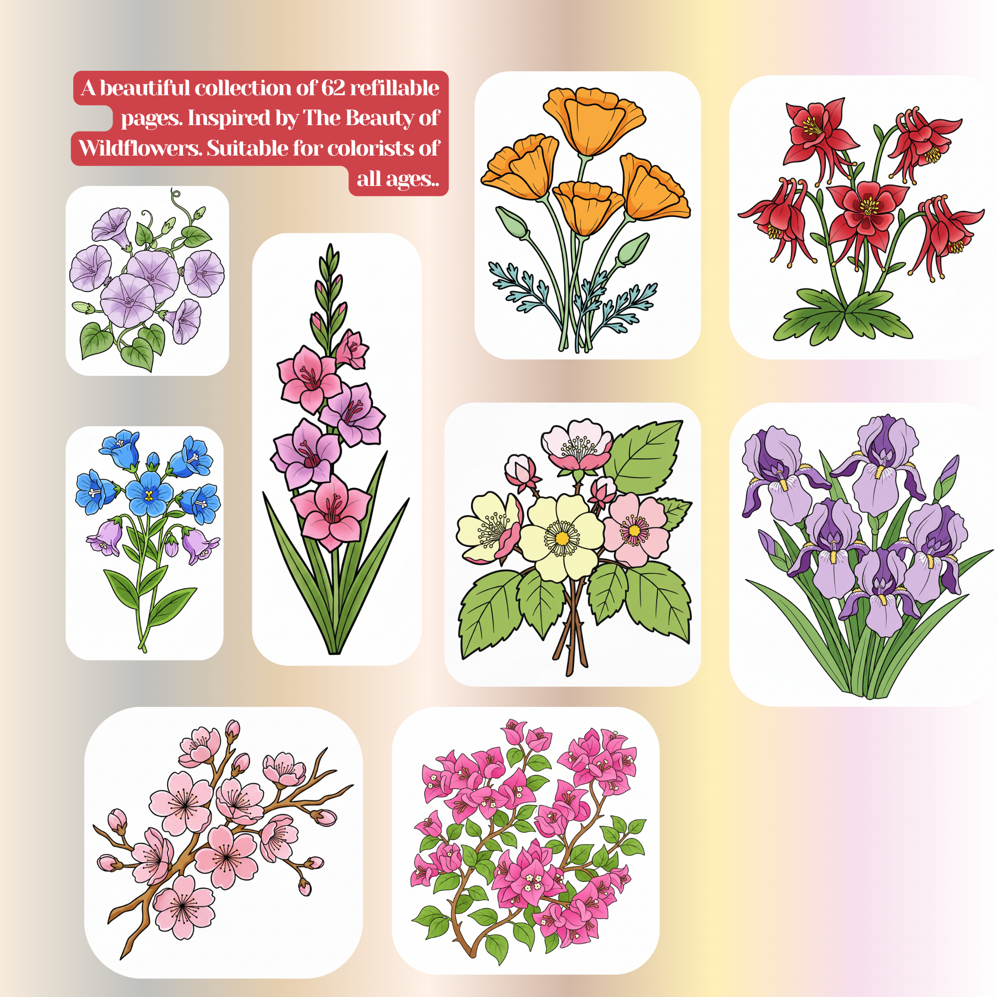 The Beauty of Wildflowers: Coloring E-book/ PDF.